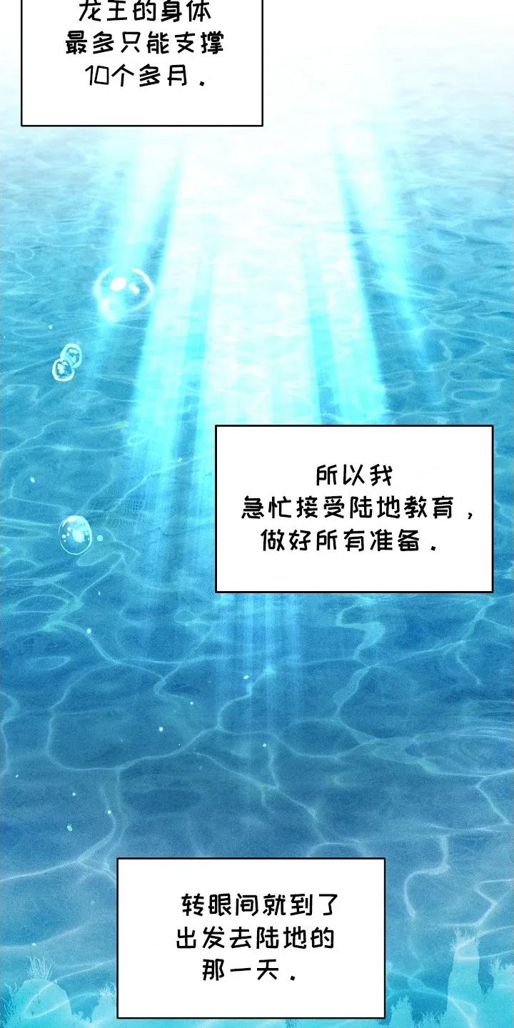 《陆地灵药》第2章：临行准备 第12页