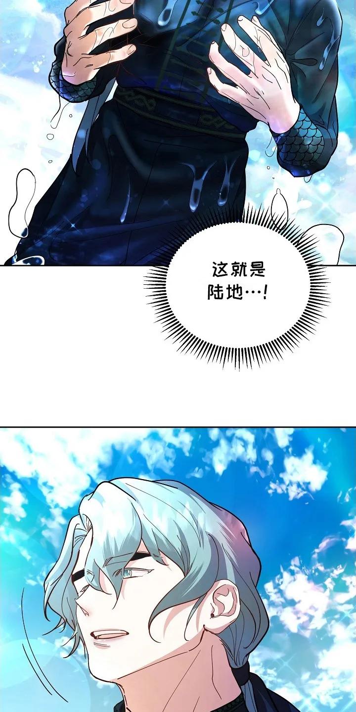 《陆地灵药》第3章：陆地 第12页