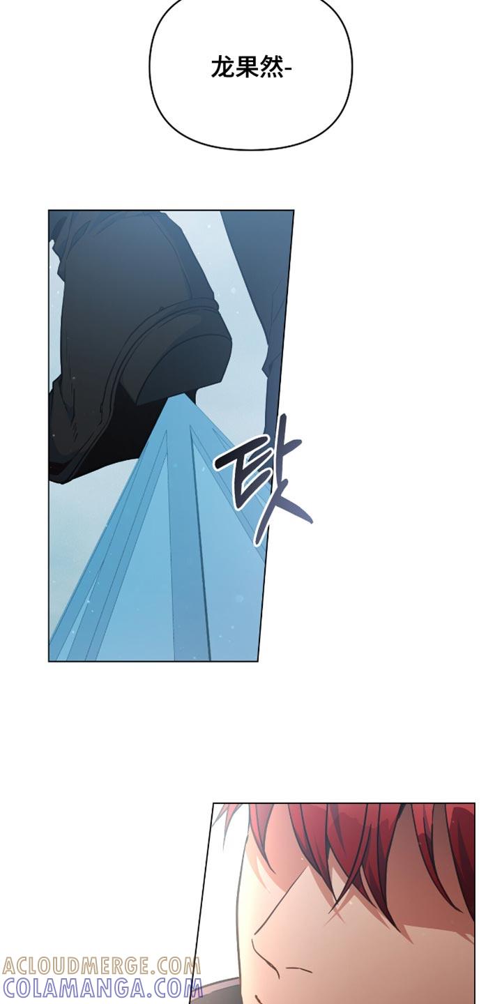 转世白月光 - 第98章：【第二季】原来你是领主 - 第5张图