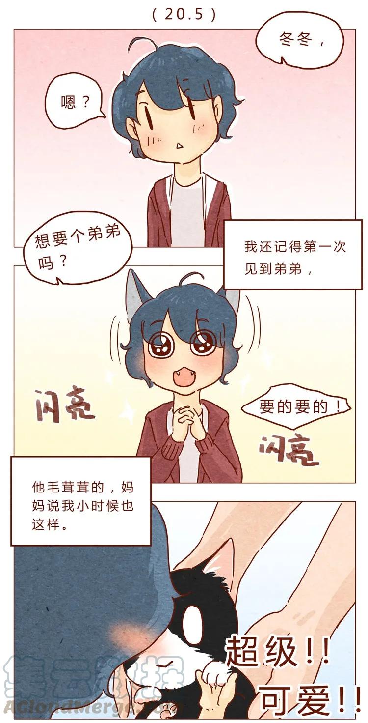 喂，看见耳朵啦 - 番外 我弟弟超可爱的 - 第1张图