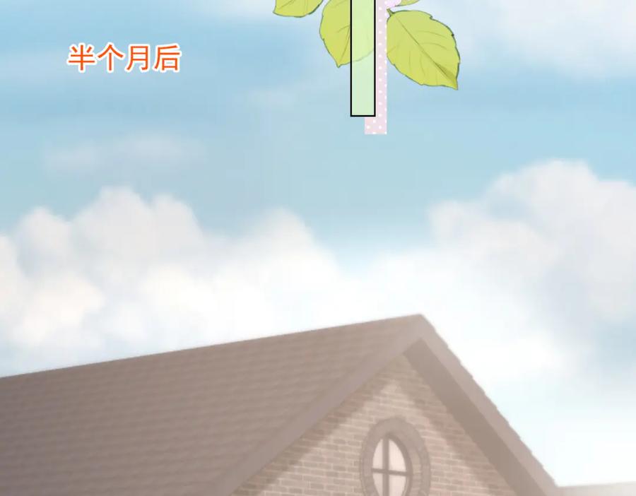 《和植物人大佬联姻》第41话 从今天开始你可以追我 第154页