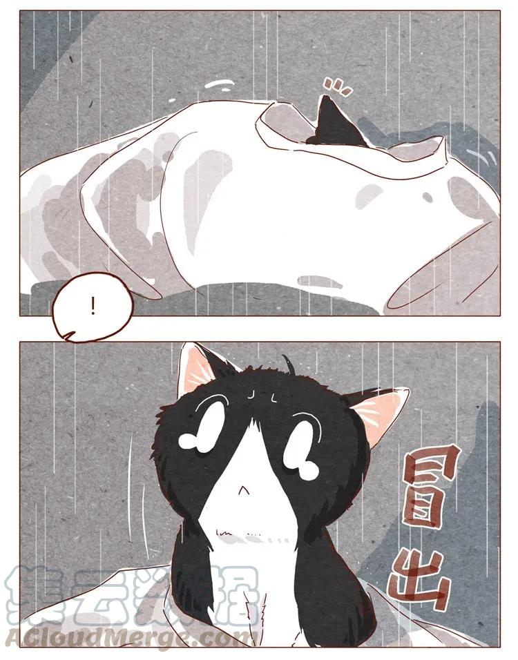 喂，看见耳朵啦 - 番外 跟你很熟吗 - 第5张图