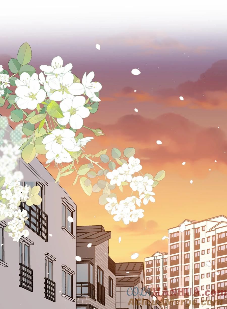 《落池》123 哥哥的腿没坏就好！ 第3页