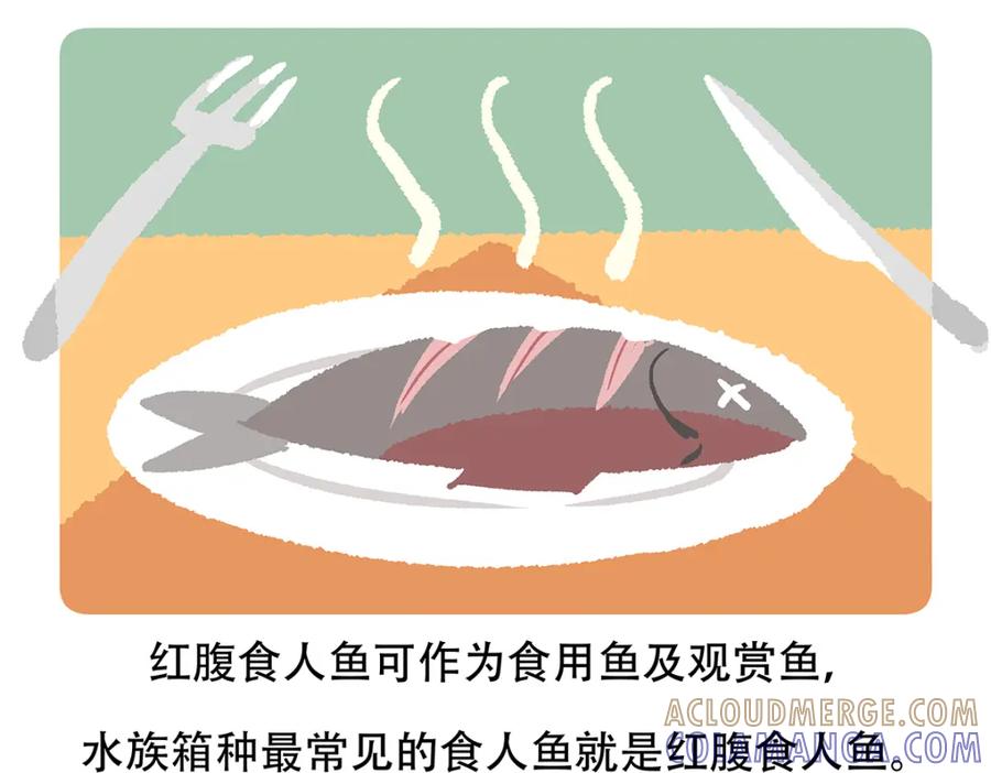 《胖达x胖达》第87话 第31页