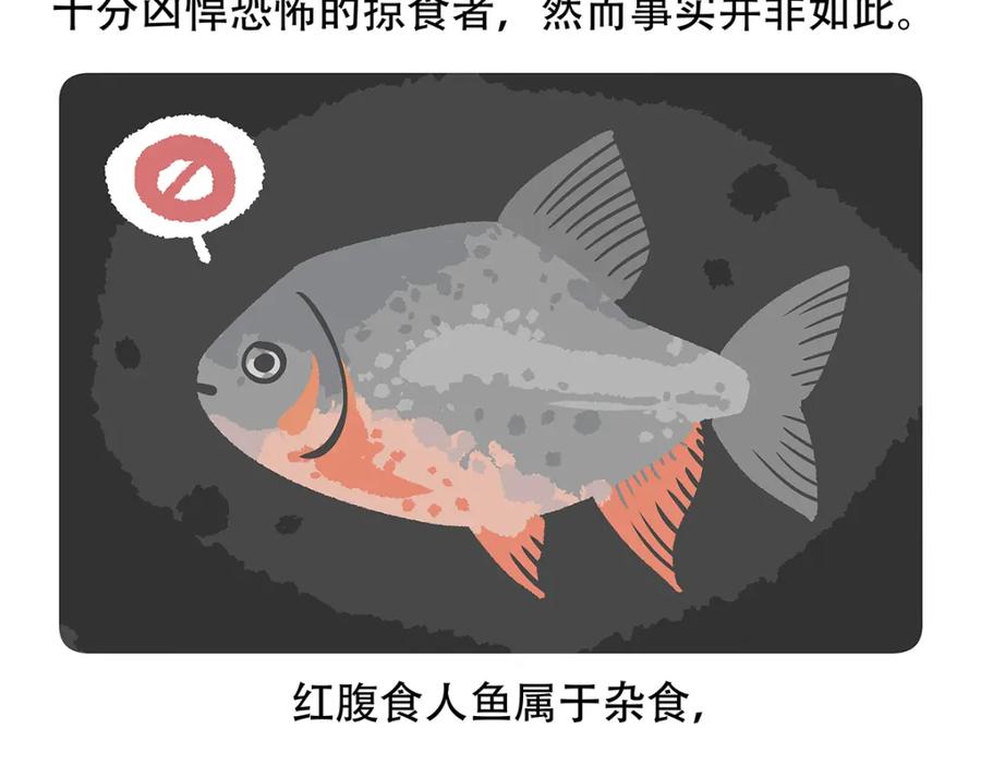 《胖达x胖达》第87话 第28页