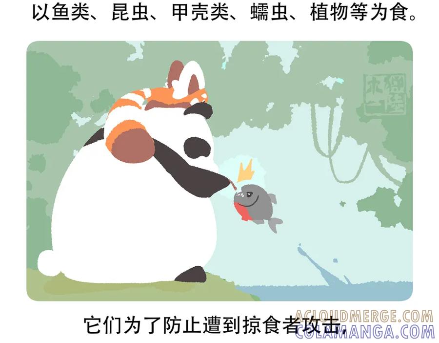 《胖达x胖达》第87话 第29页