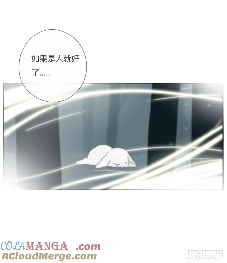 拥然入怀 一六四章 礼物 第19页