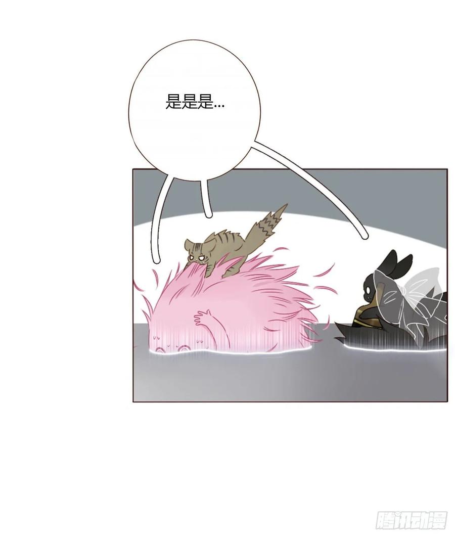 拥然入怀 一六四章 礼物 第5页