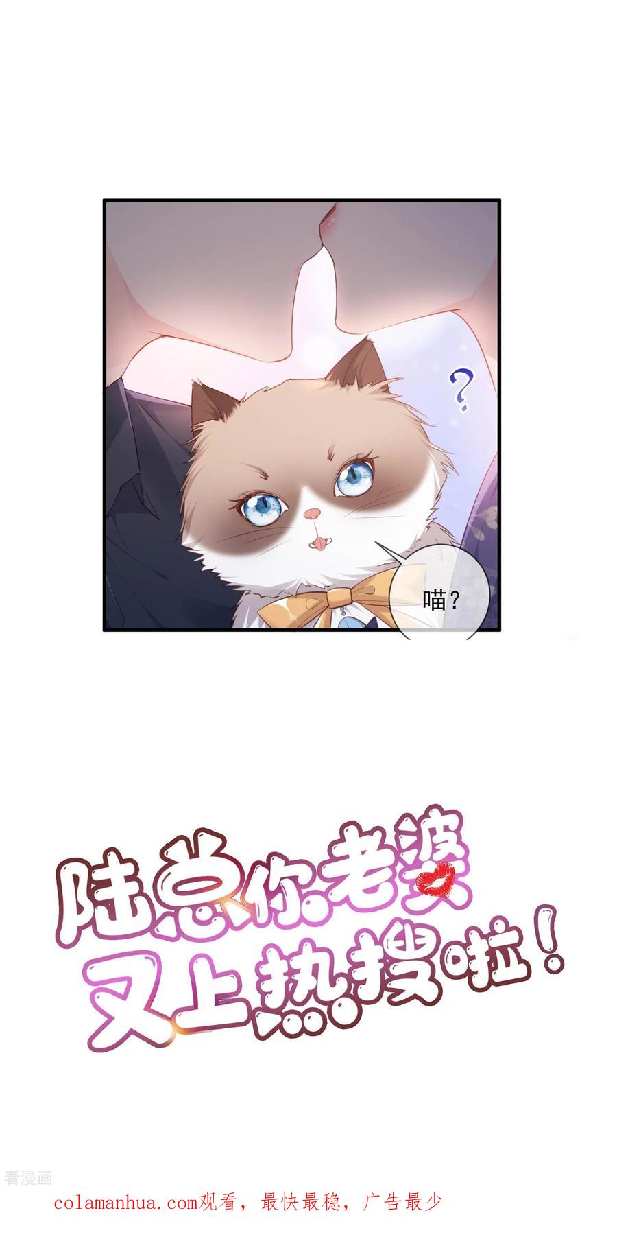 《陆总，你老婆又上热搜啦！》预告 第22页