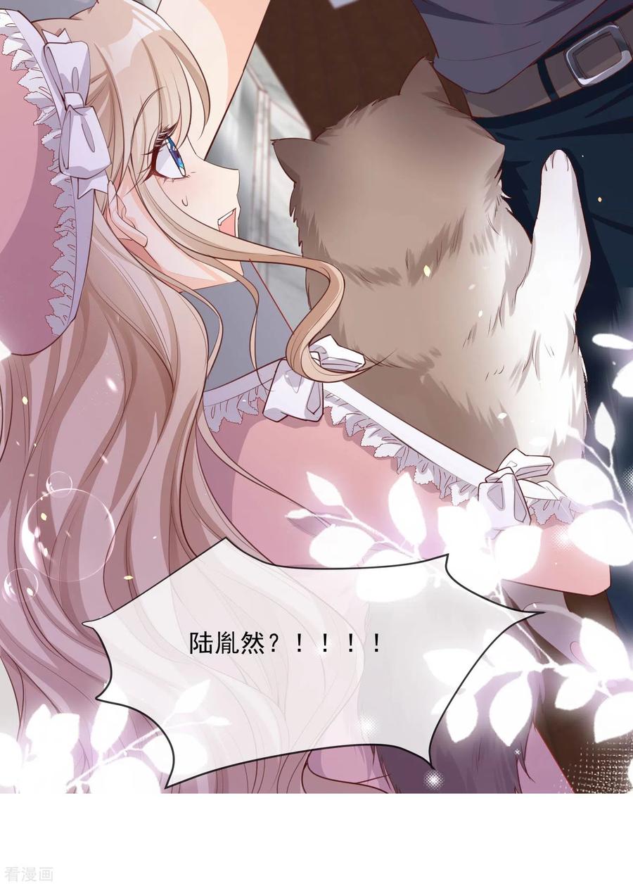 《陆总，你老婆又上热搜啦！》预告 第20页