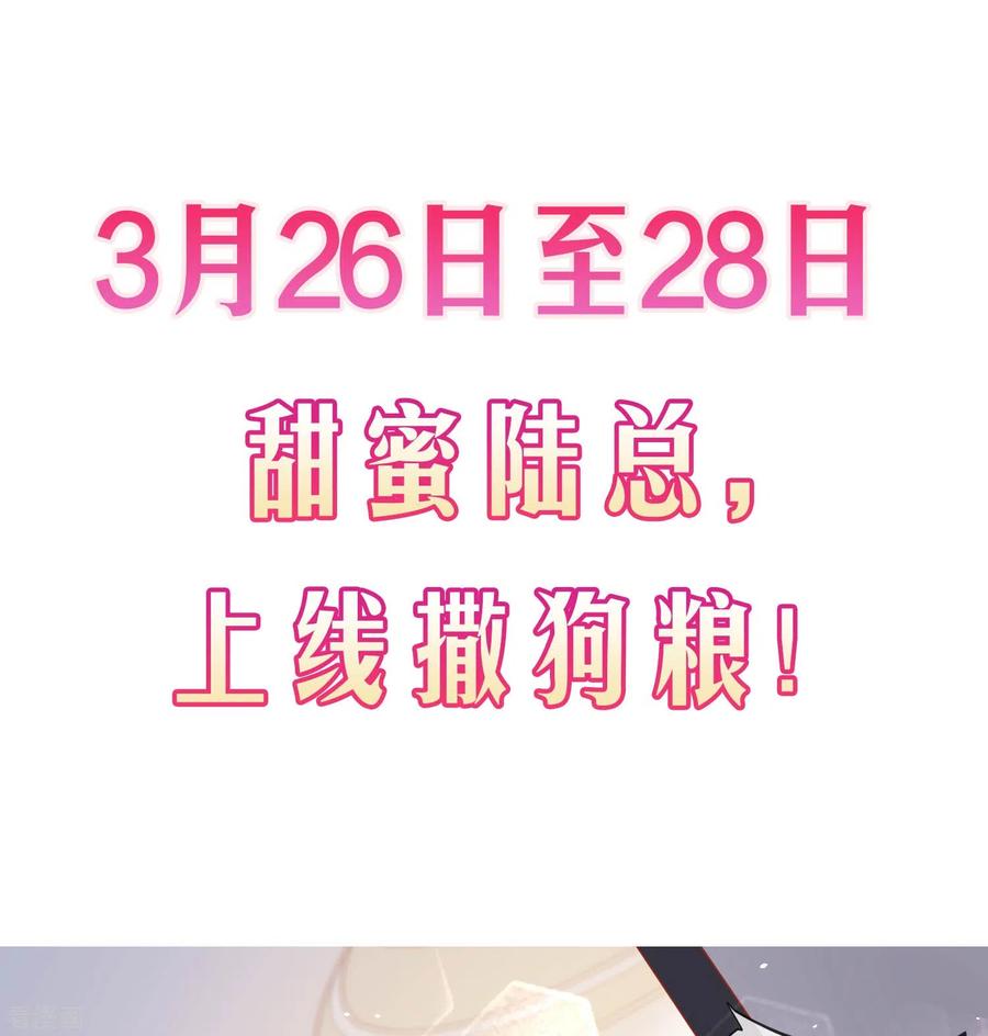 《陆总，你老婆又上热搜啦！》预告 第18页