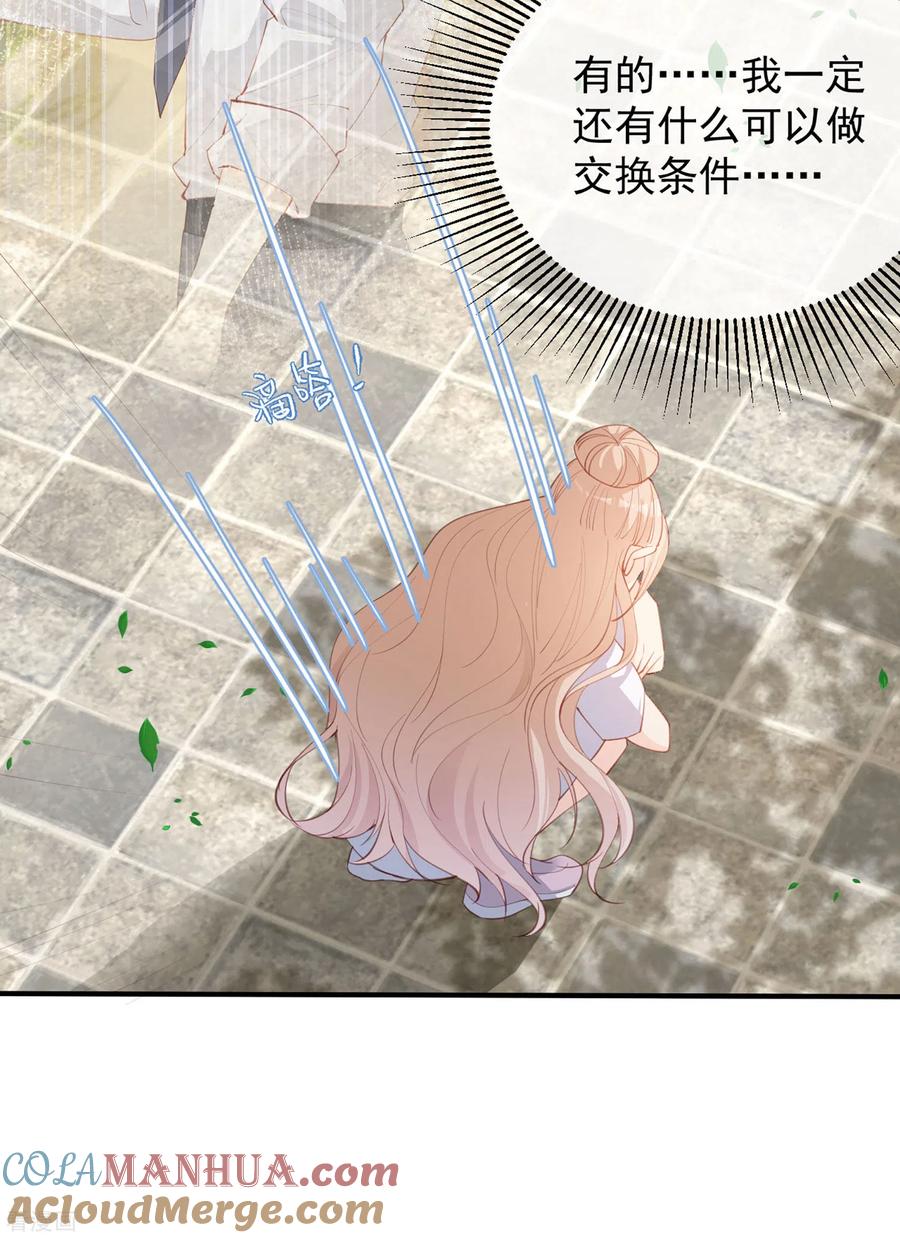 《陆总，你老婆又上热搜啦！》第12话 我愿意为此赌一把 第13页