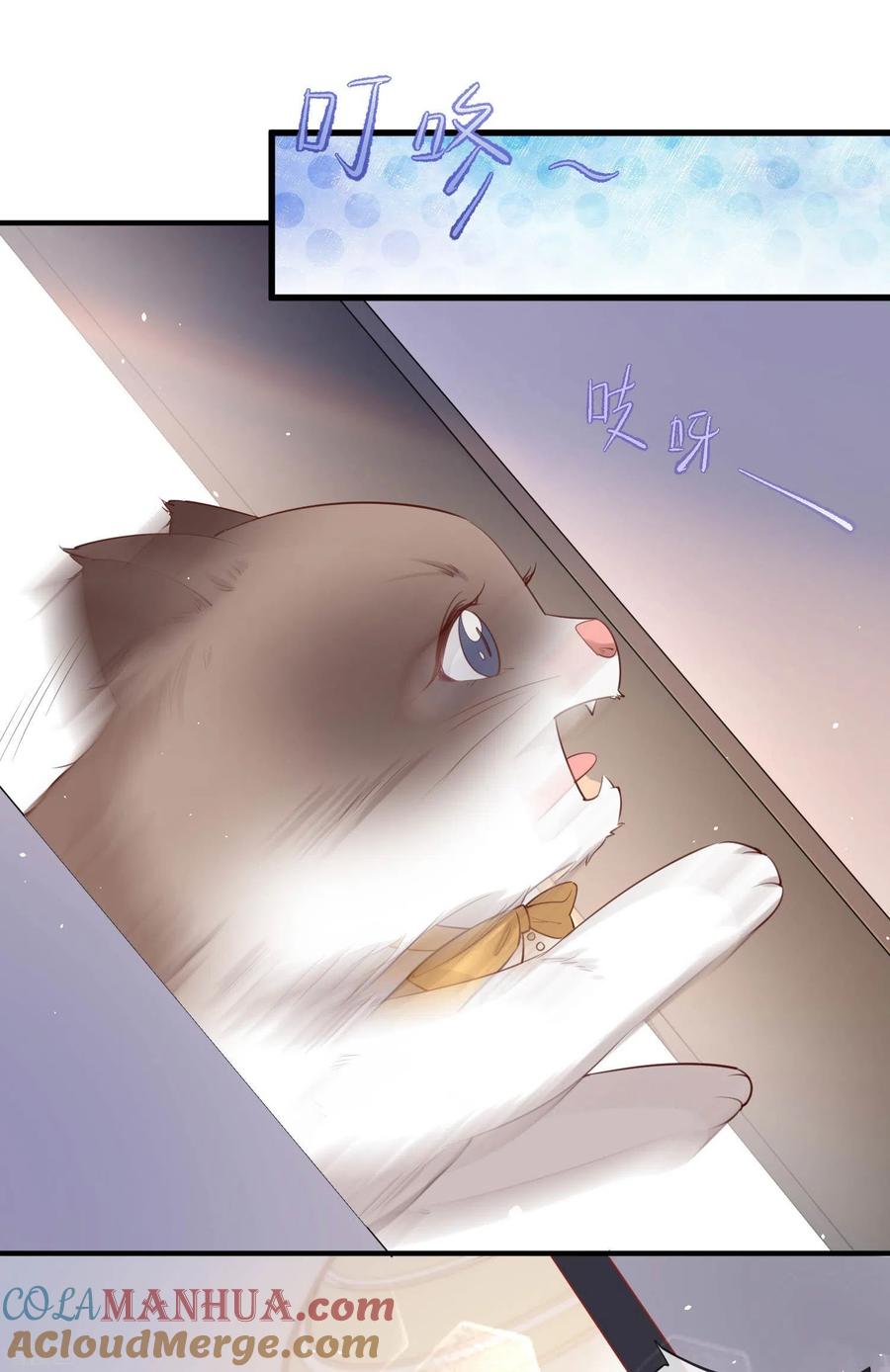 《陆总，你老婆又上热搜啦！》第3话 大姐，请不要妨碍我们拍戏！ 第35页
