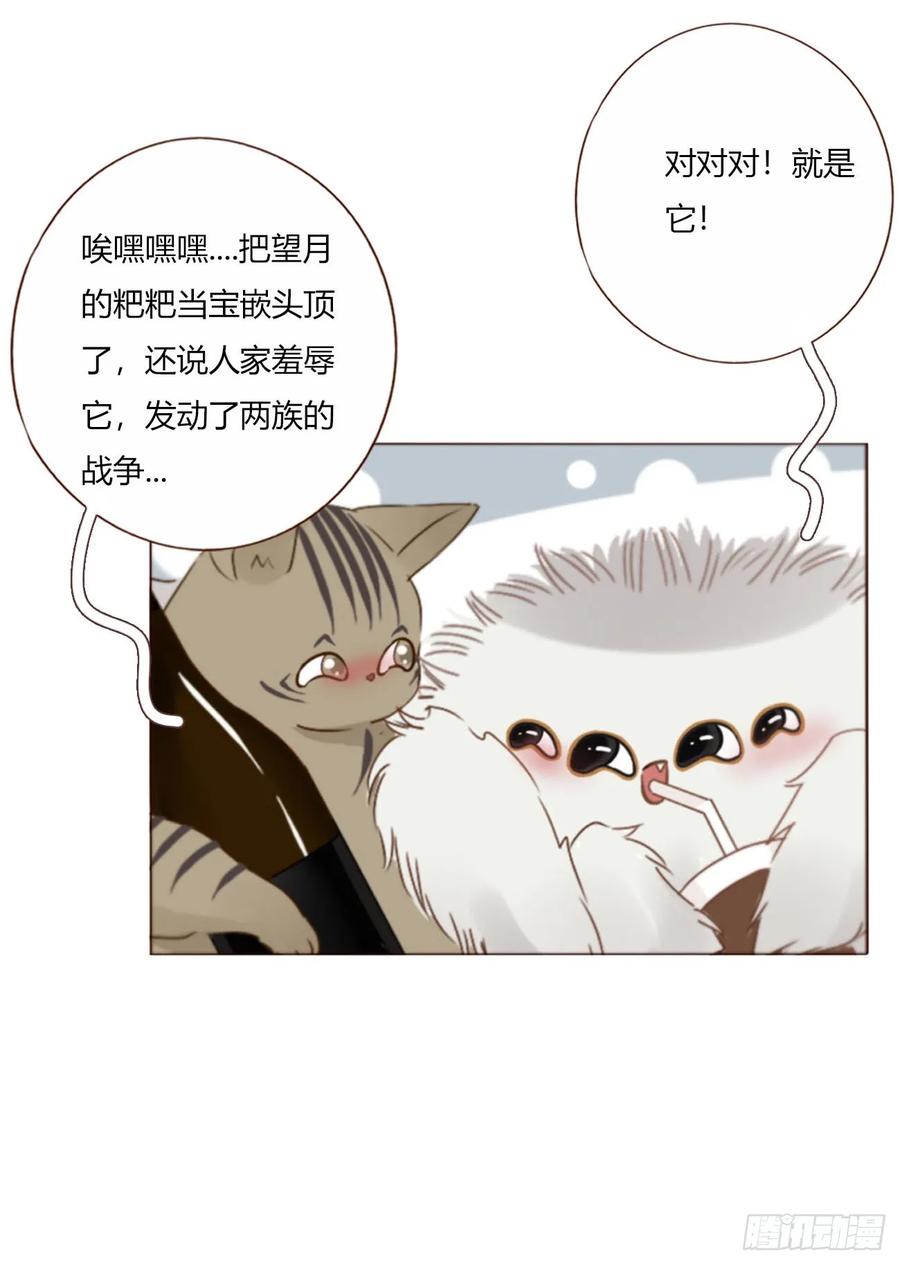 拥然入怀 一九六章 十印 第8页