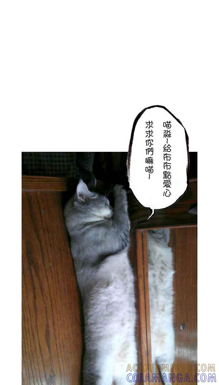 猫剑客 [第81话] 折翼天使 贰拾肆，危机一发 第29页