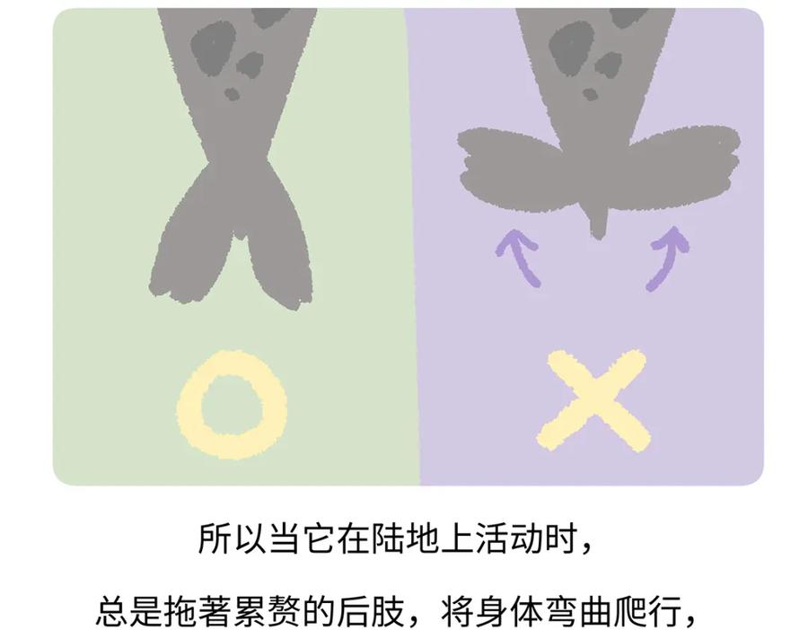 《胖达x胖达》第263话 第24页