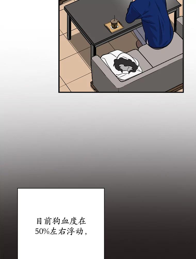 《狗血剧之王》31.惩罚 第78页
