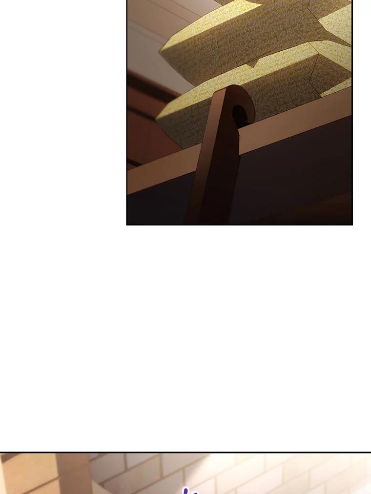 《乙女游戏中的女仆想辞职》44.意外 第38页