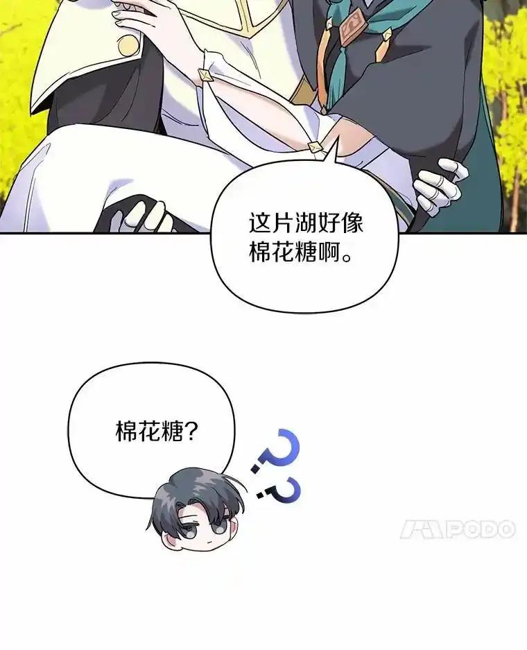 《舌尖上的魔法师》48.精灵消失 第62页