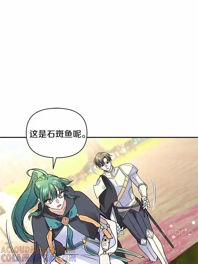 《舌尖上的魔法师》48.精灵消失 第85页