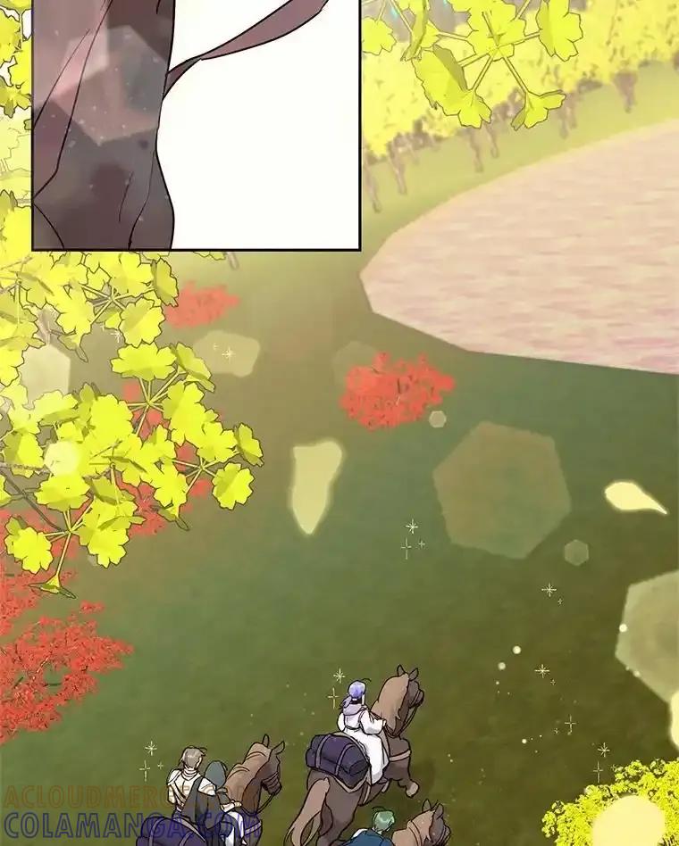 《舌尖上的魔法师》48.精灵消失 第41页