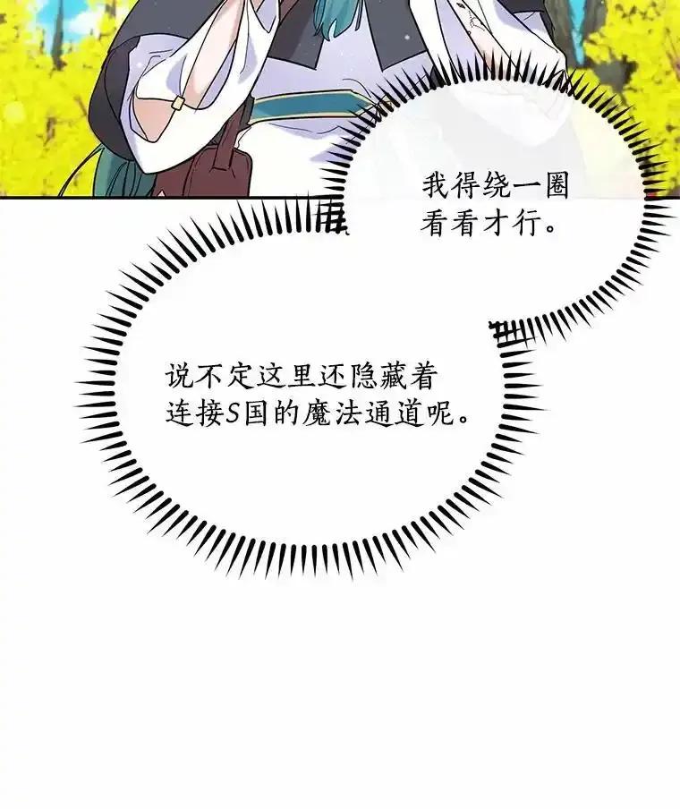 《舌尖上的魔法师》48.精灵消失 第96页