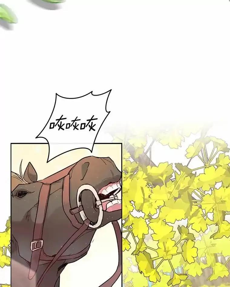 《舌尖上的魔法师》48.精灵消失 第40页