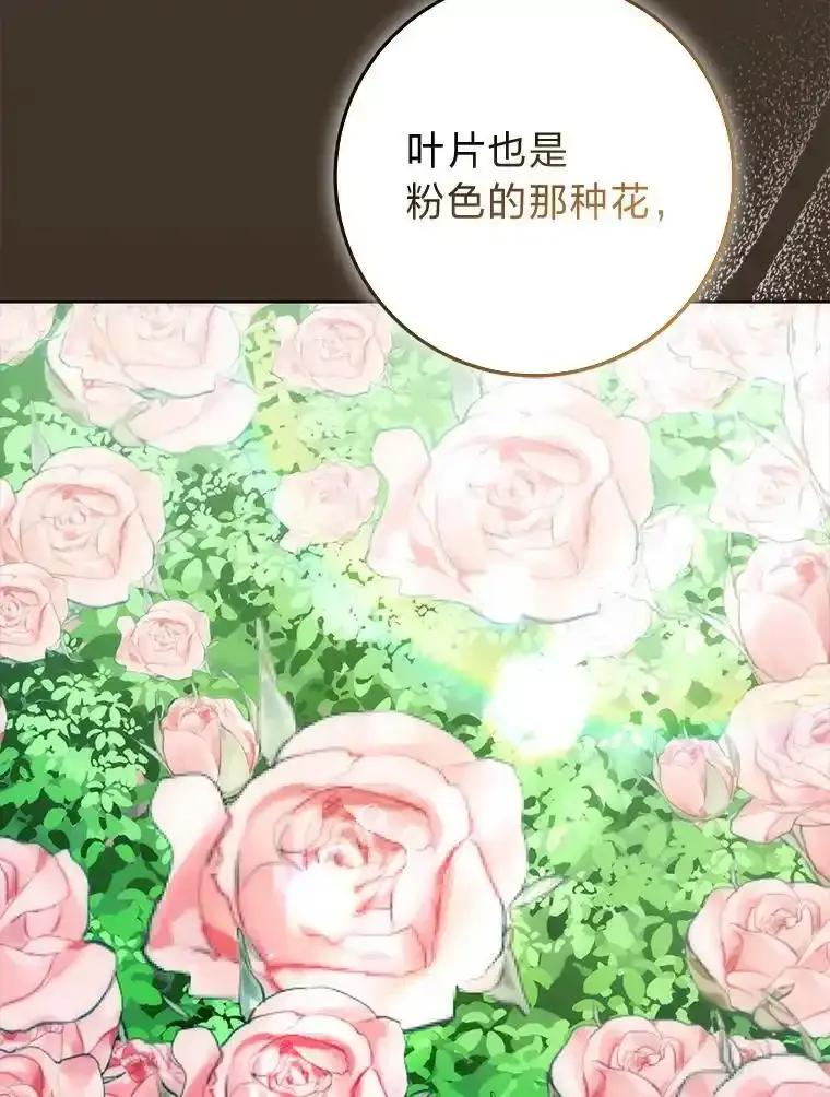 《成为短命女主的妹妹》48.活下去的秘密 第111页