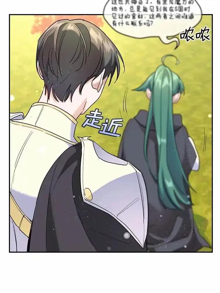《舌尖上的魔法师》48.精灵消失 第87页