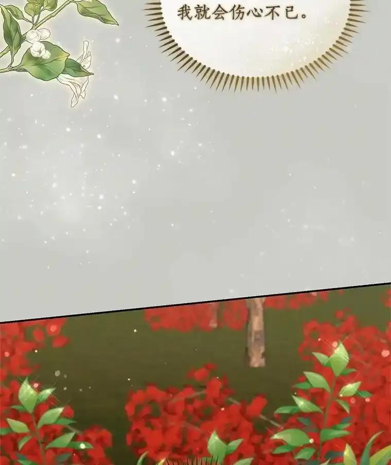 《舌尖上的魔法师》48.精灵消失 第100页