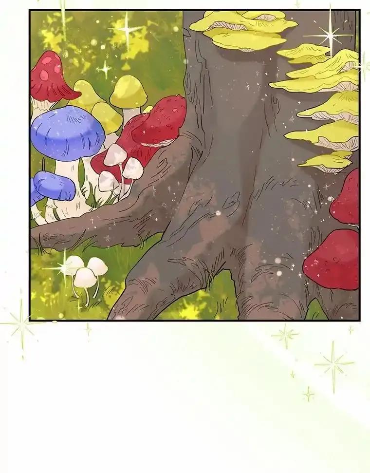 《舌尖上的魔法师》49.激烈争吵 第6页