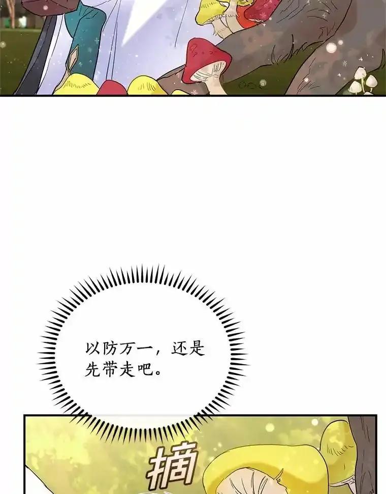《舌尖上的魔法师》49.激烈争吵 第8页