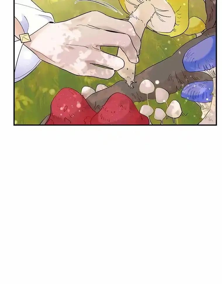 《舌尖上的魔法师》49.激烈争吵 第9页