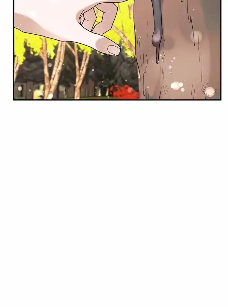 《舌尖上的魔法师》49.激烈争吵 第18页