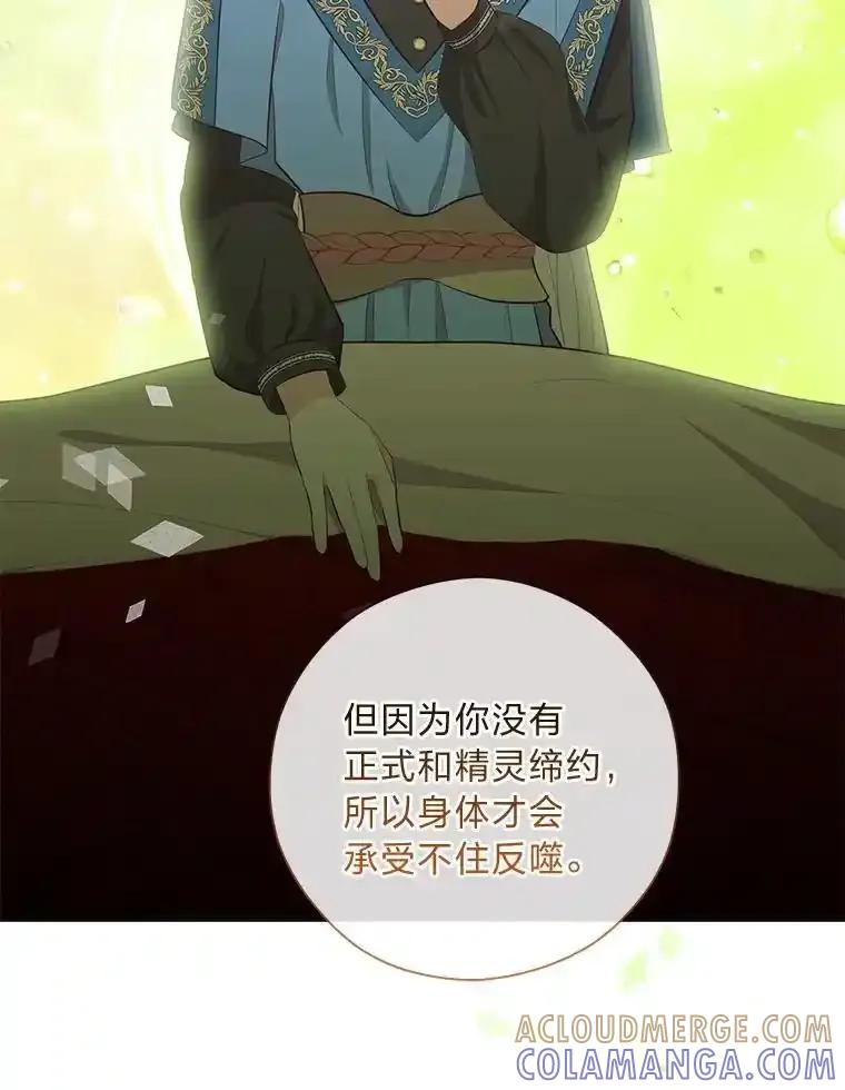 《你喜欢妈妈还是爸爸？》66.精灵之力 第29页