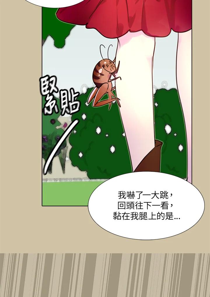 《绿叶的观察日记》第28话 第42页