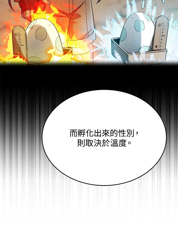 《满等玩家冒险记》第28话 第36页