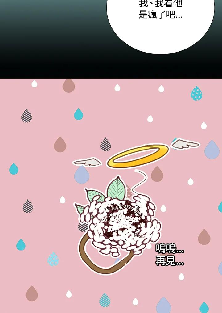 《绿叶的观察日记》第41话 第30页