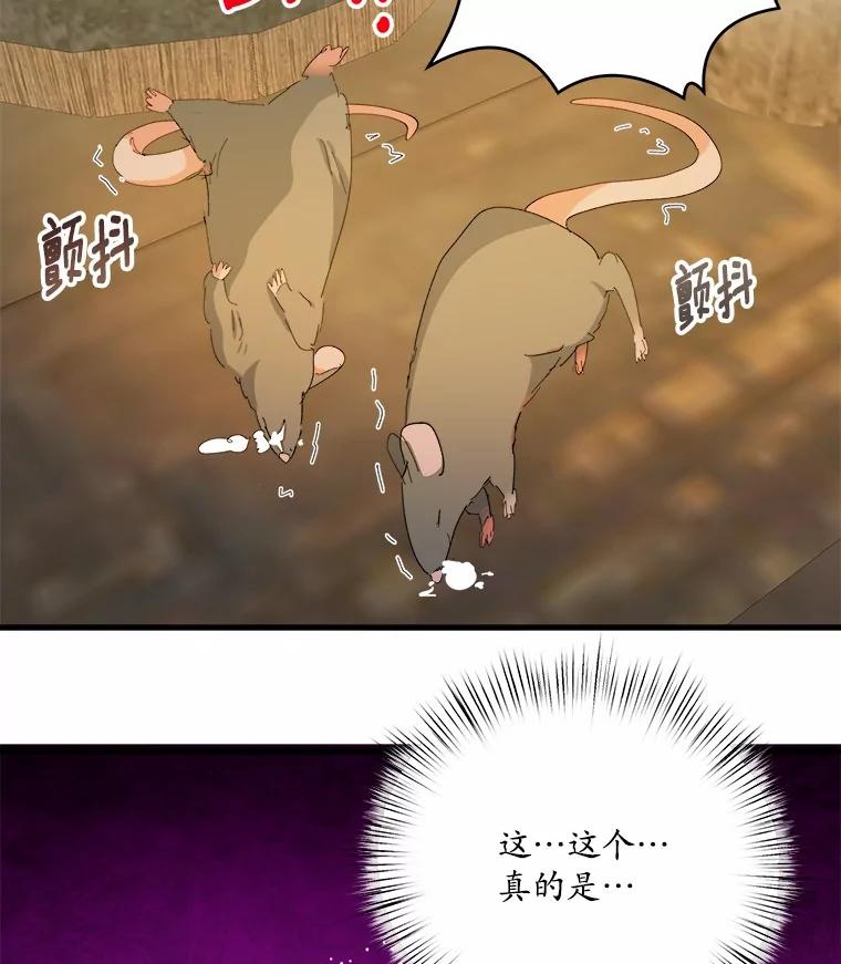 《渴望假妹妹》69.渴望假妹妹 第2页
