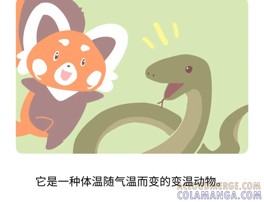 《胖达x胖达》第250话 第21页