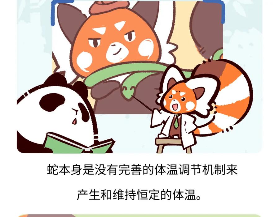 《胖达x胖达》第250话 第20页