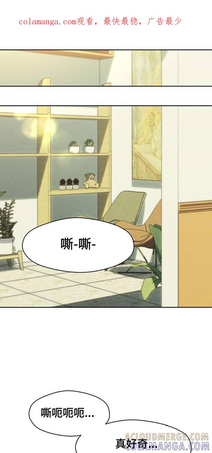 枯萎的花伤心的泪 第61章：胡思乱想 第1页