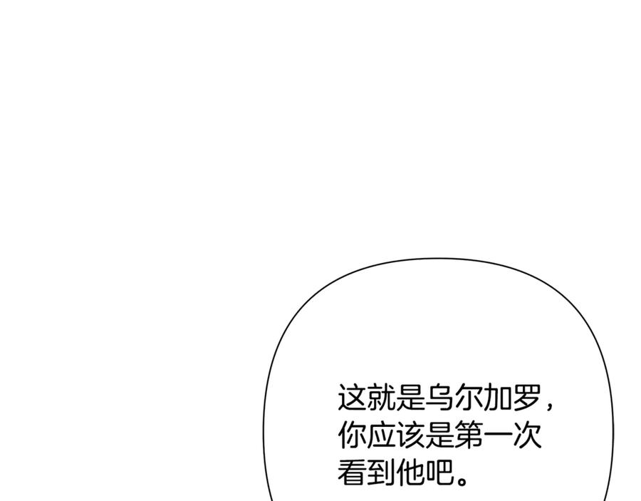 《蛮荒：我是最强野人战神》第96话 朝圣之路 第243页