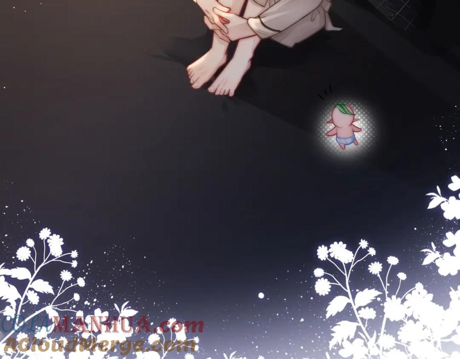 《满级大佬重回快穿世界》第13话 下辈子也要爱我 第29页