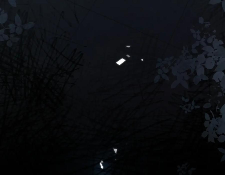 《满级大佬重回快穿世界》第17话 安景言的过往 第40页