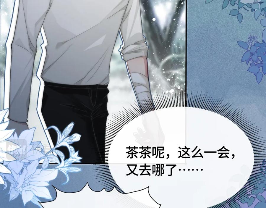 《满级大佬重回快穿世界》第6话 白莲花陷害茶茶 第56页