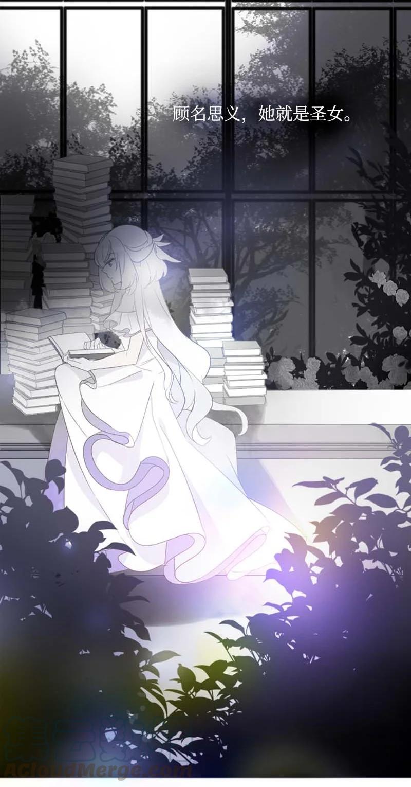 《满级圣女混迹校园》0.5 序章 第11页