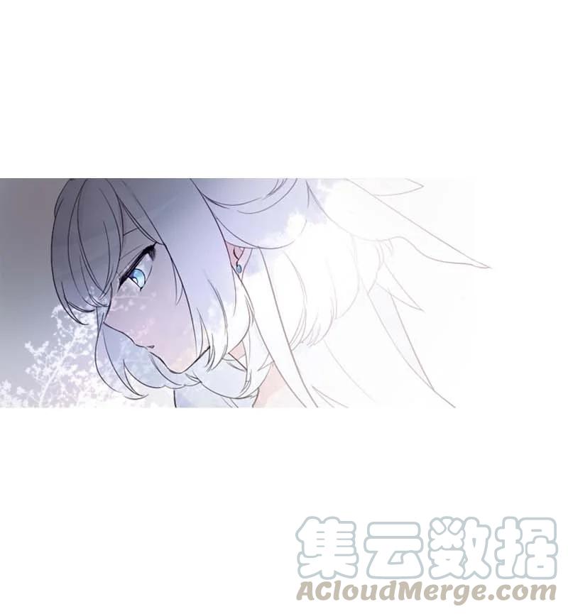 《满级圣女混迹校园》0.5 序章 第13页