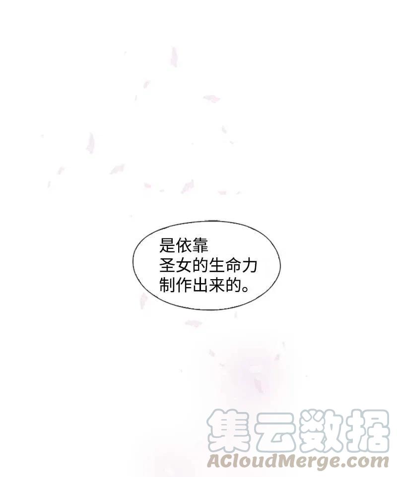 《满级圣女混迹校园》33 愚蠢的我 第21页