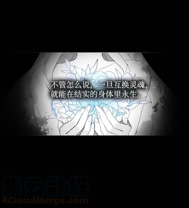 《满级圣女混迹校园》44 梦想 第4页